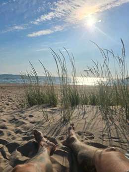 Beaches